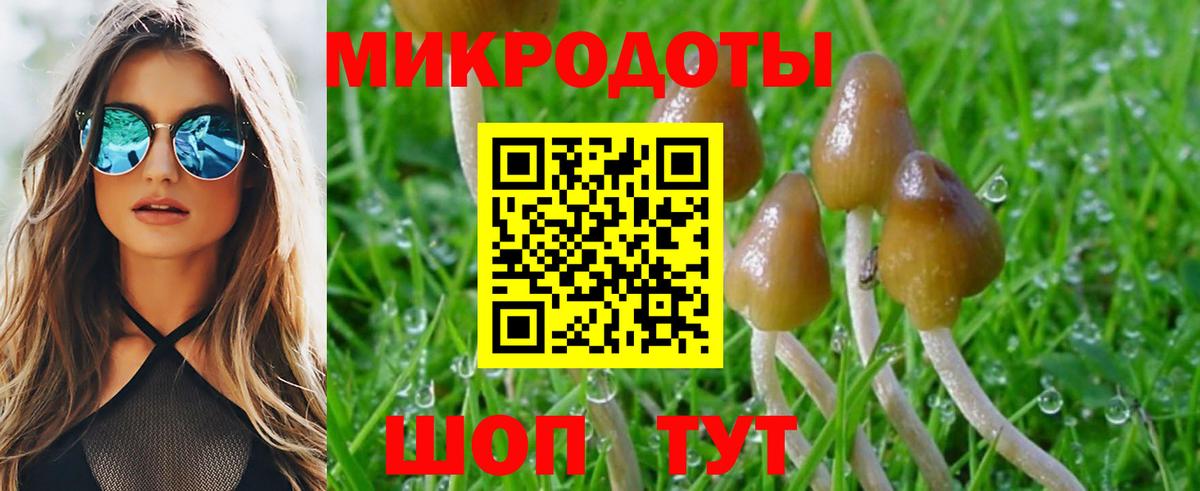 что такое наркотик  Галлюциногенные грибы мицелий  Вход с VPN  Севастополь  Псилоцибиновые грибы MAGIC MUSHROOMS 